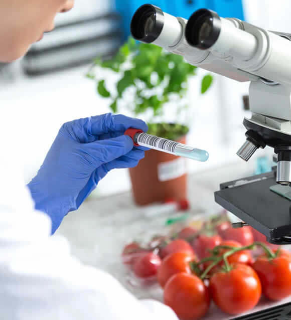 Análisis de Alimentos